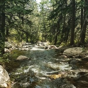 Meet your Posher, Joey